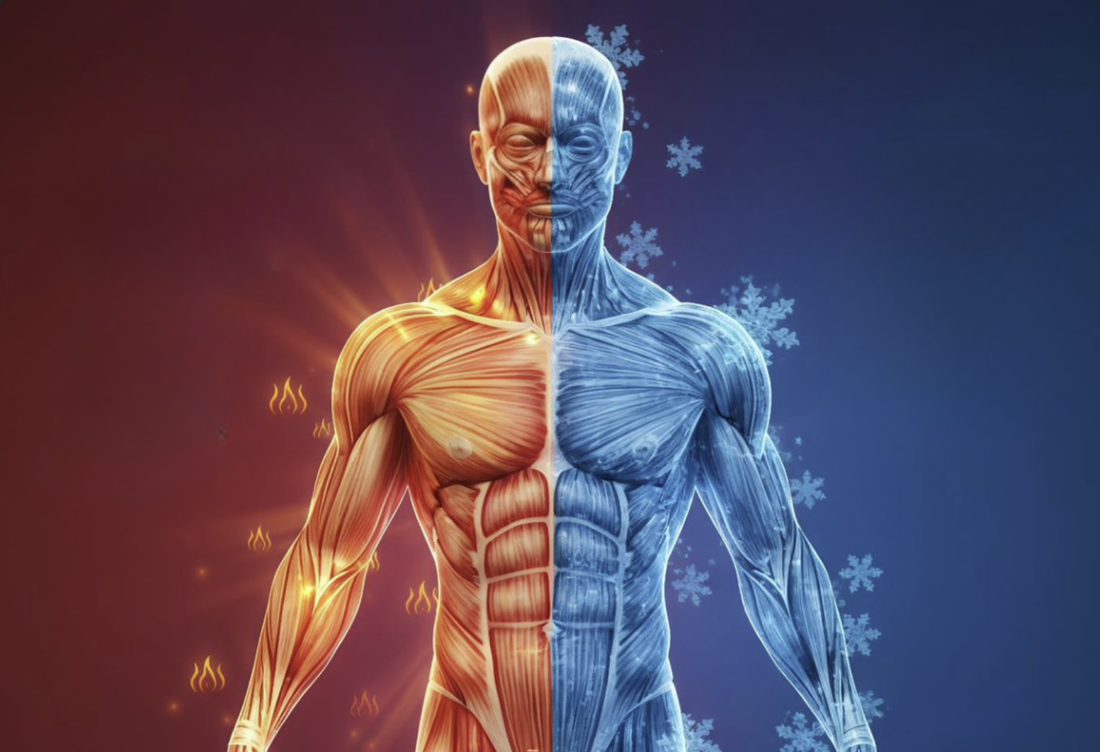 Contrast Therapy: Hot and Cold for Recovery